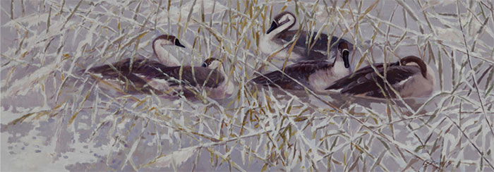 1632876217295520.jpg 8.jpg