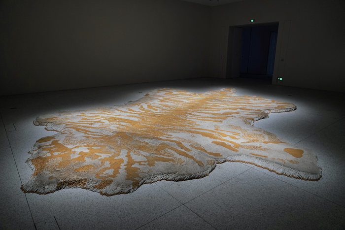 1641439038690449.jpg 11.jpg