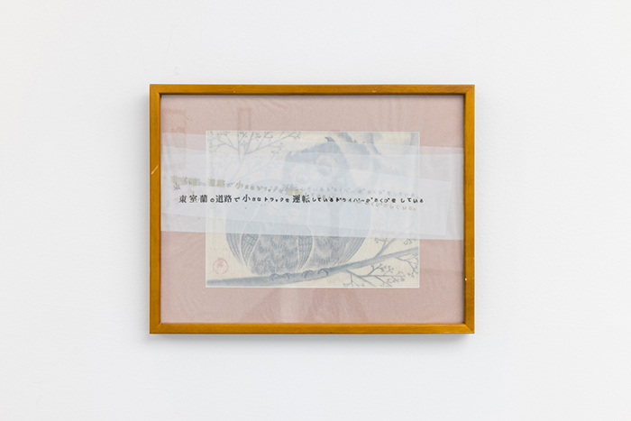 1646788137526355.jpg 8.jpg